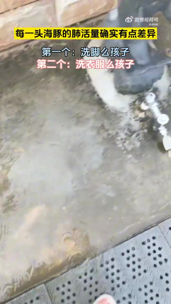 网友：第一个现在的我，第二个多年前的我