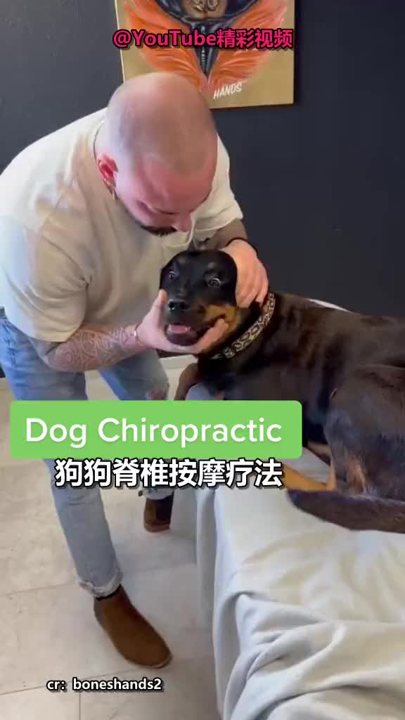 狗子：就刚刚那一下，我以为我嘎了