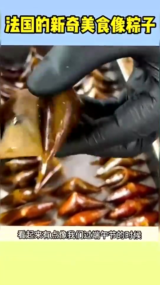 法国的新奇美食像粽子