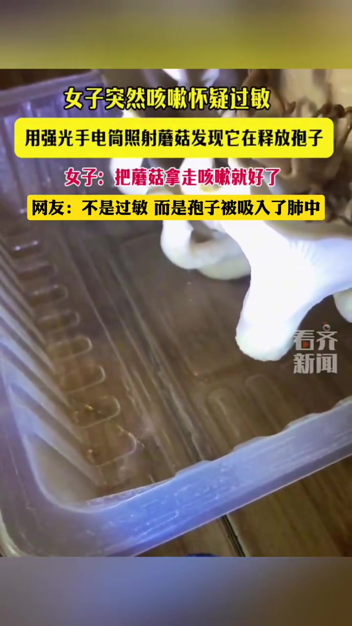 女子咳嗽怀疑过敏，用强光手电筒照射，发现蘑菇正在释放孢子！