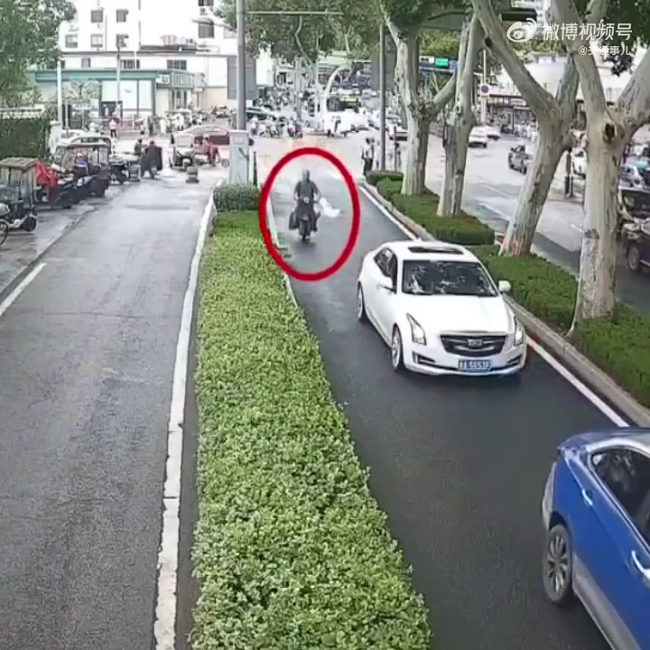 违法停车乱开车门，骑车老哥直接给撞绿化带里去了