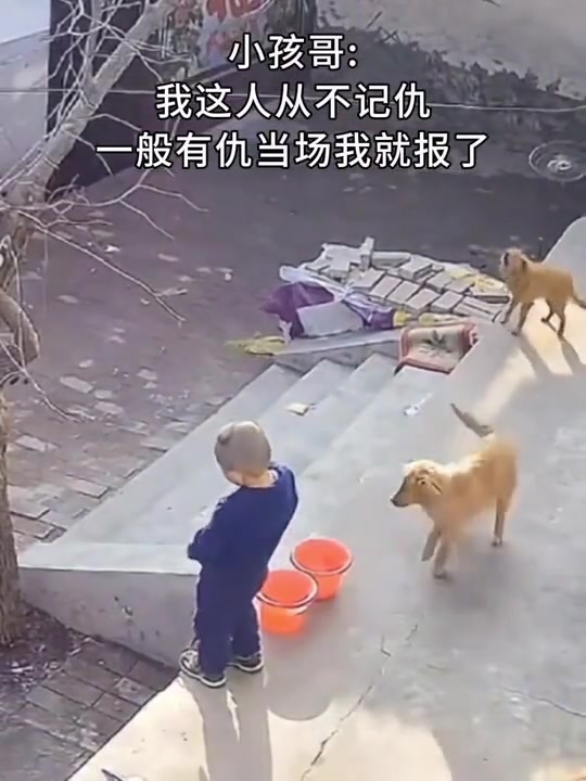 小孩哥：一般有仇我当场就报了