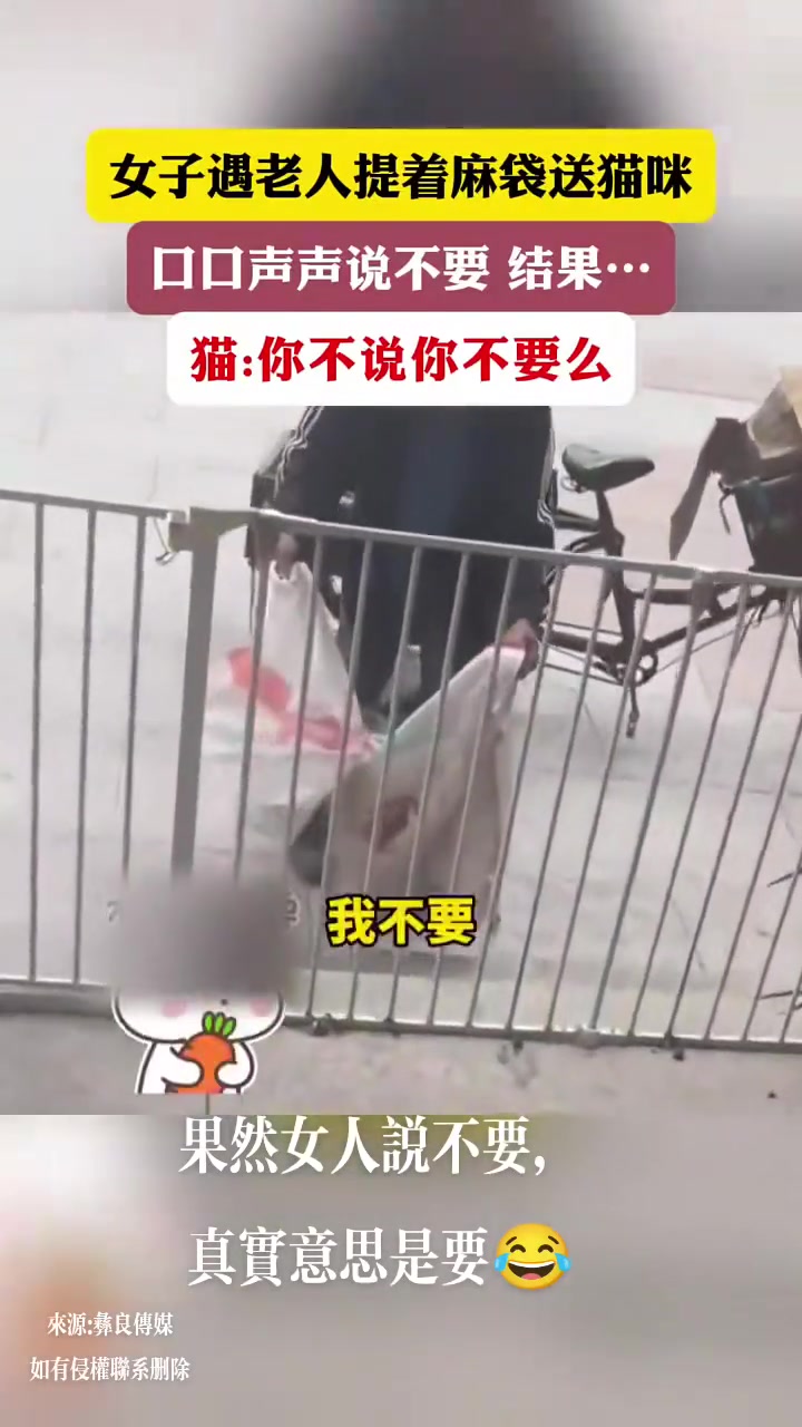 女子遇老人提着麻袋送猫咪口口声声说不要结果