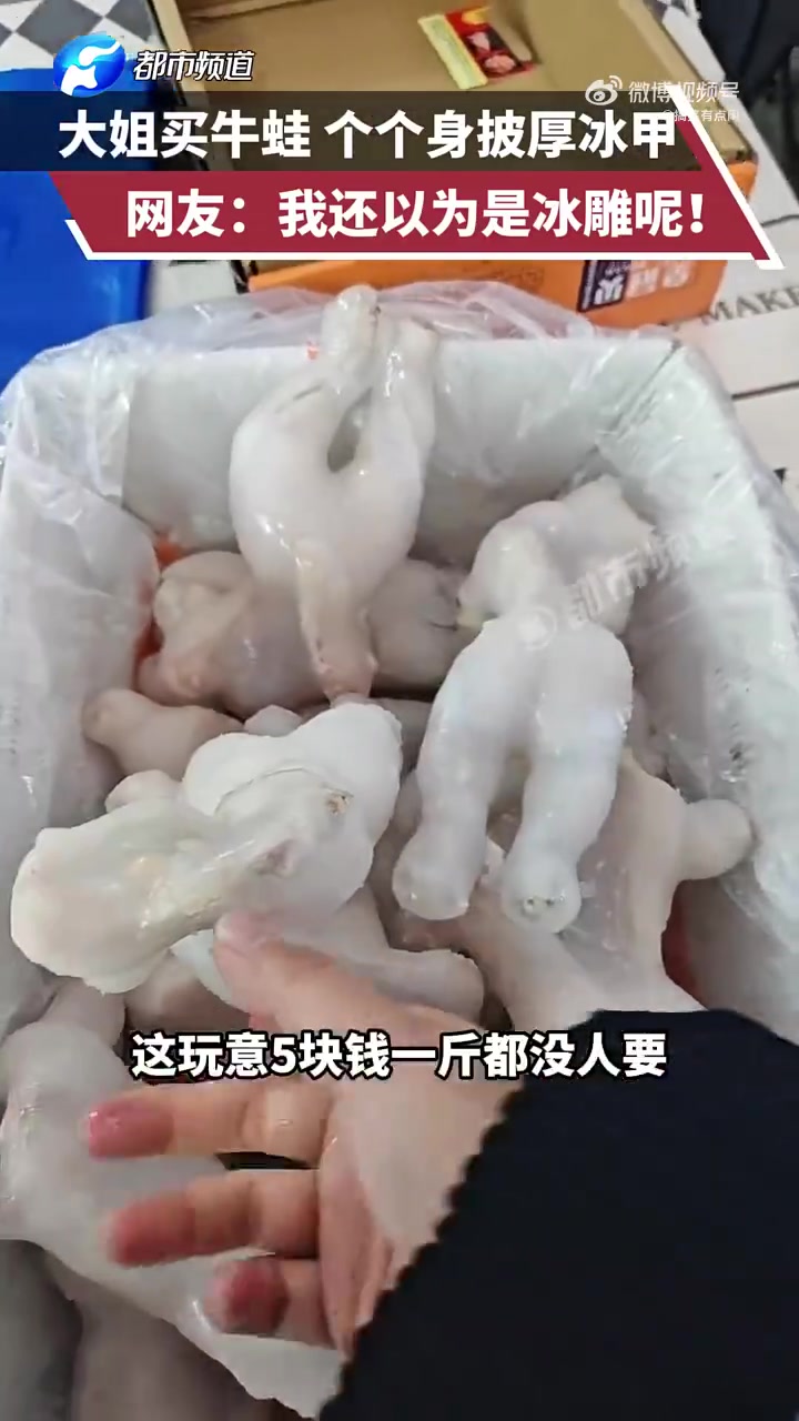 你买的是冬眠的牛蛙！冰化了是活牛蛙