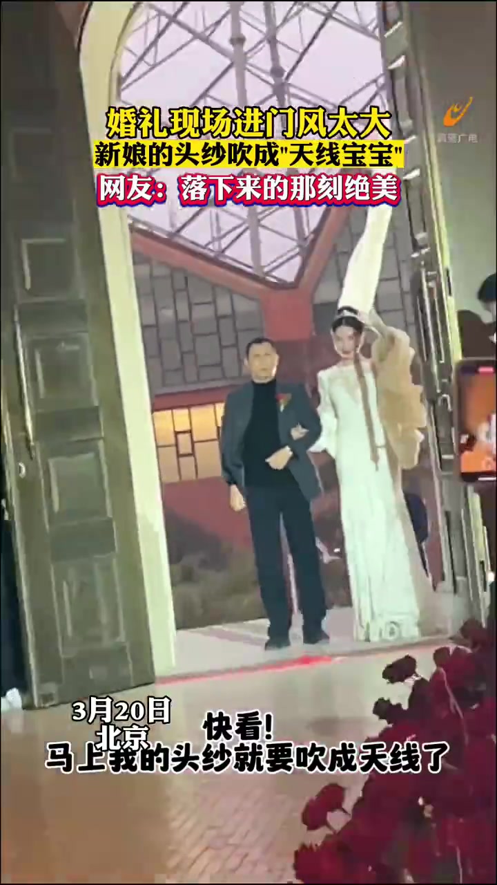 婚礼现场进门风太大，新娘的头纱吹成“天线宝宝”