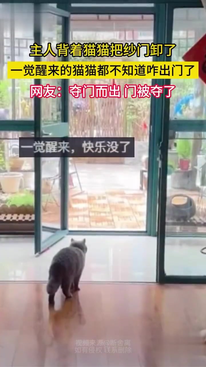 装个玻璃让他体验一下人间险恶