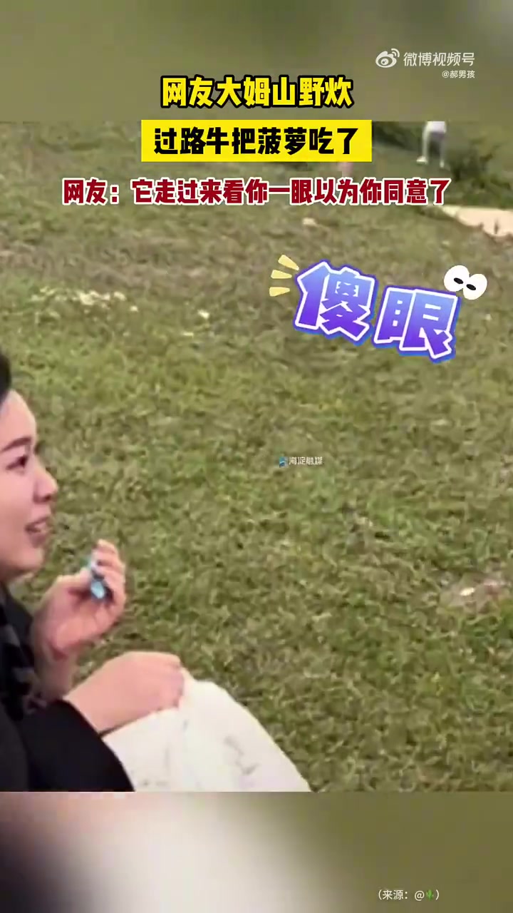 网友大姆山野炊，过路牛把菠萝吃了