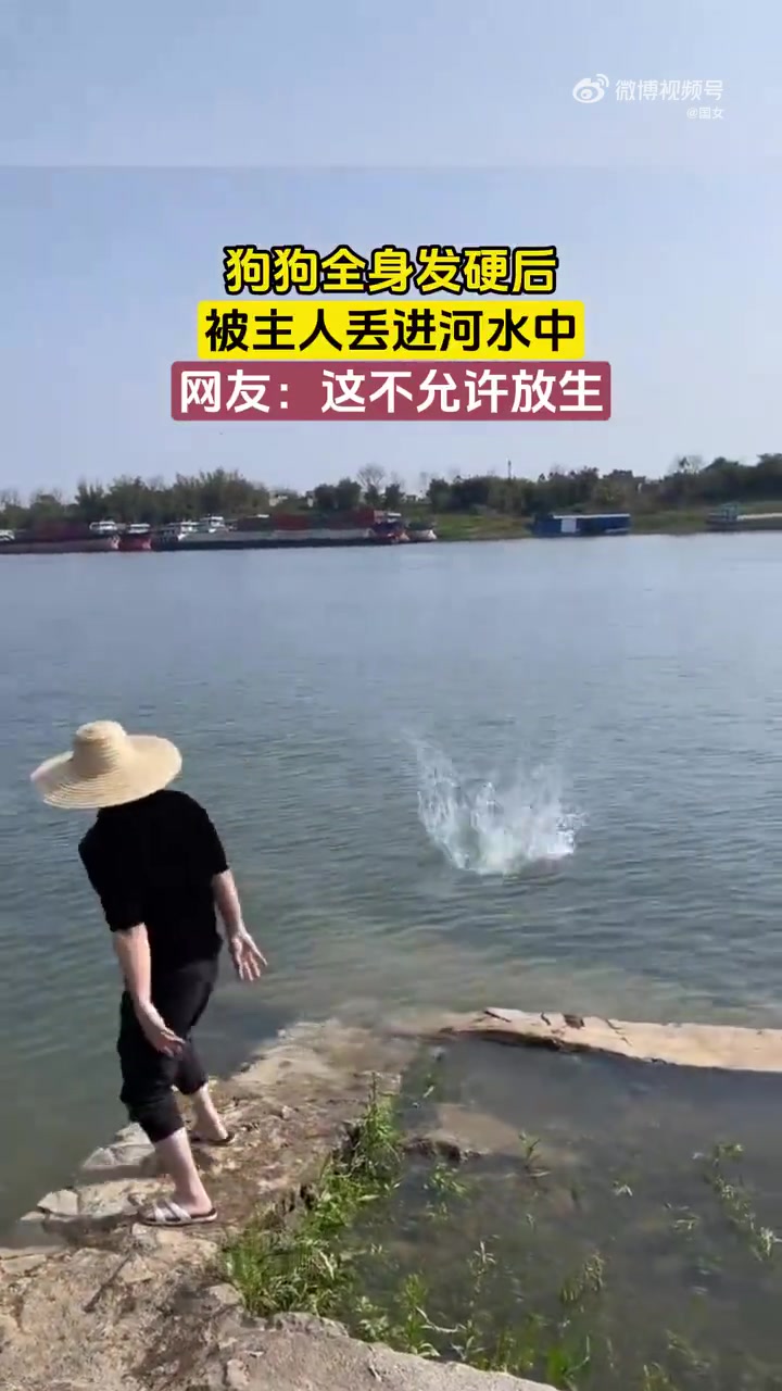 狗狗全身发硬后，被主人丢进河水中