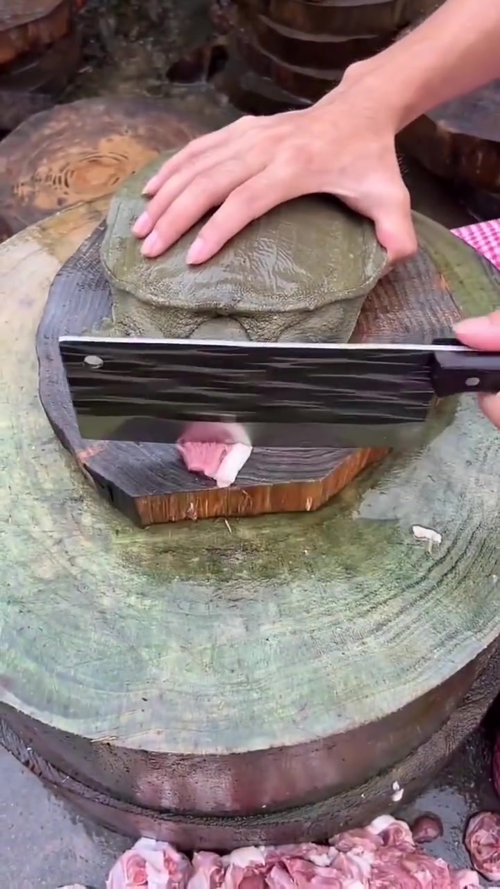 鳖：把我的命卖才艺！