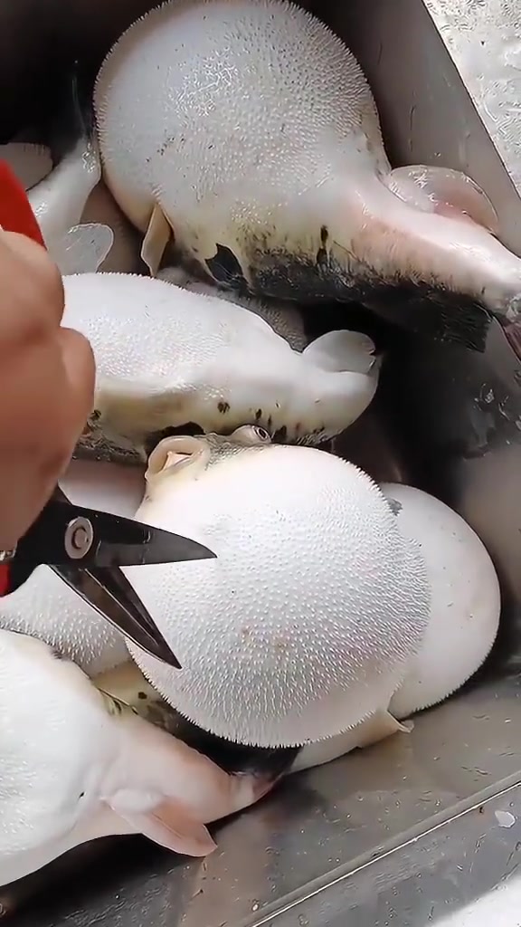 干了我想干的事！！！