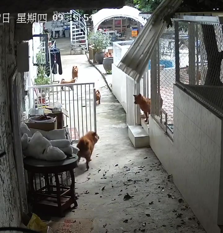别动，腿断了