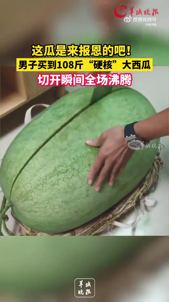 这瓜是来报恩的吧