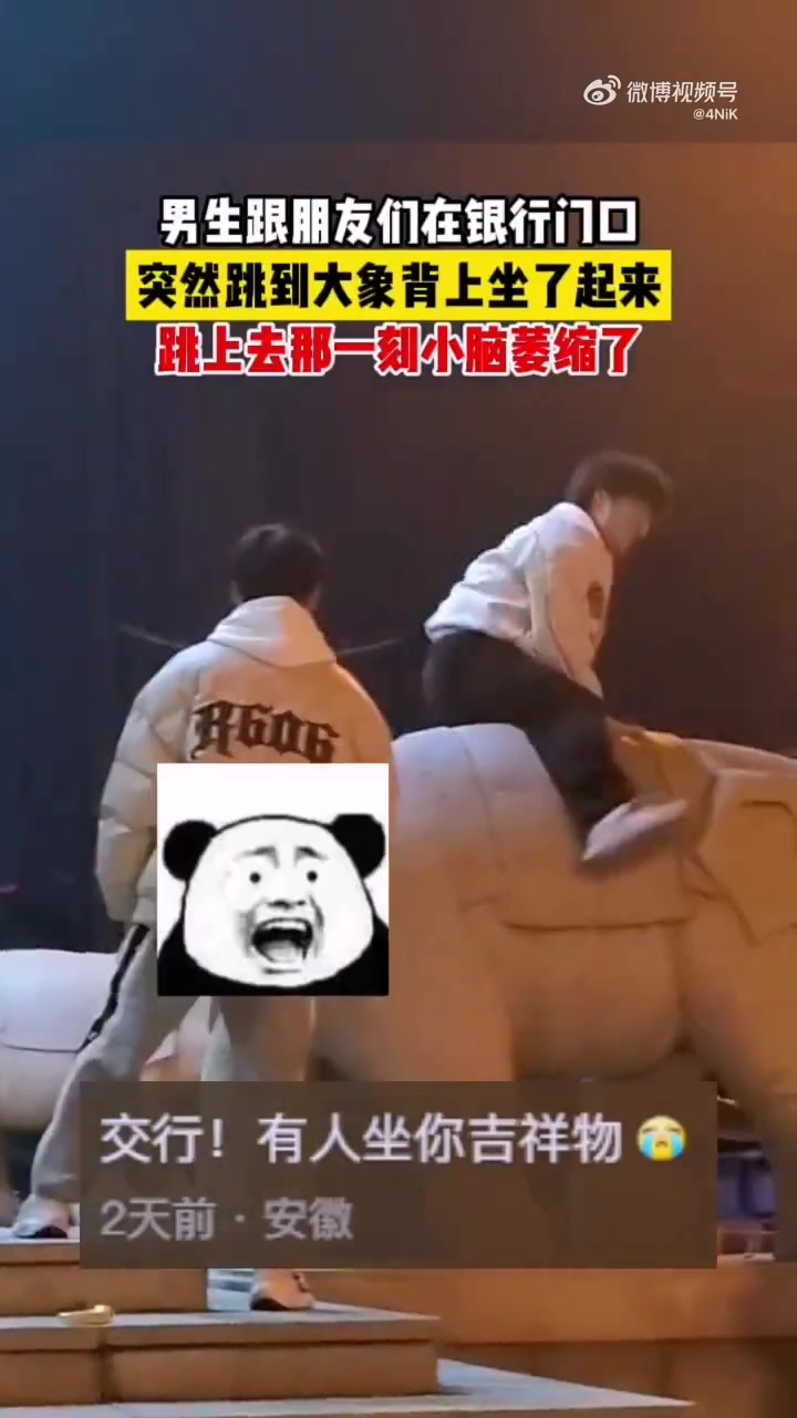 突然跳到大象背上坐了起来跳上去那一刻小脑萎缩了！！！！.