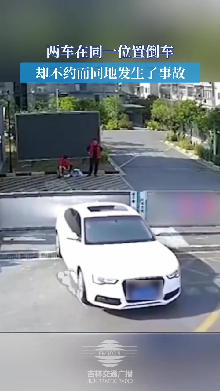 一看就知道是同一个教练教的