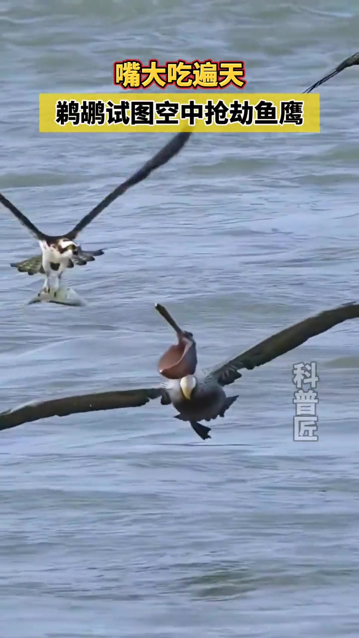 这不得灌一肚子风啊