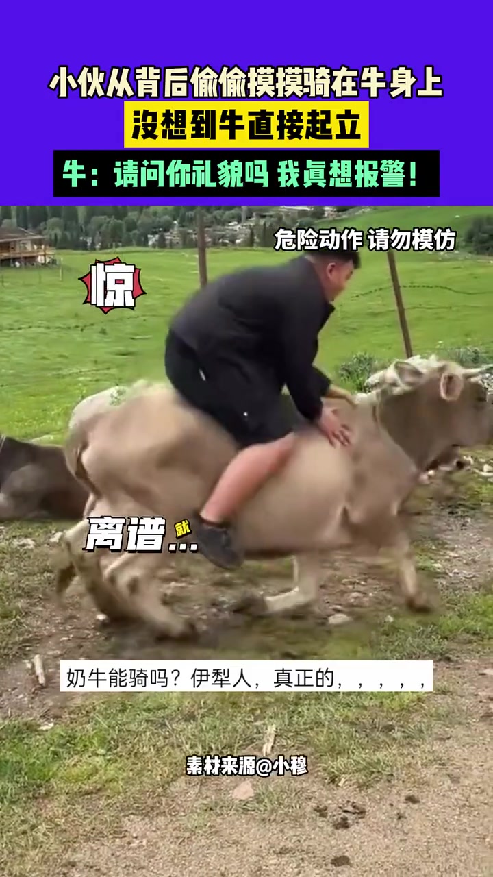 牛：请问你礼貌吗