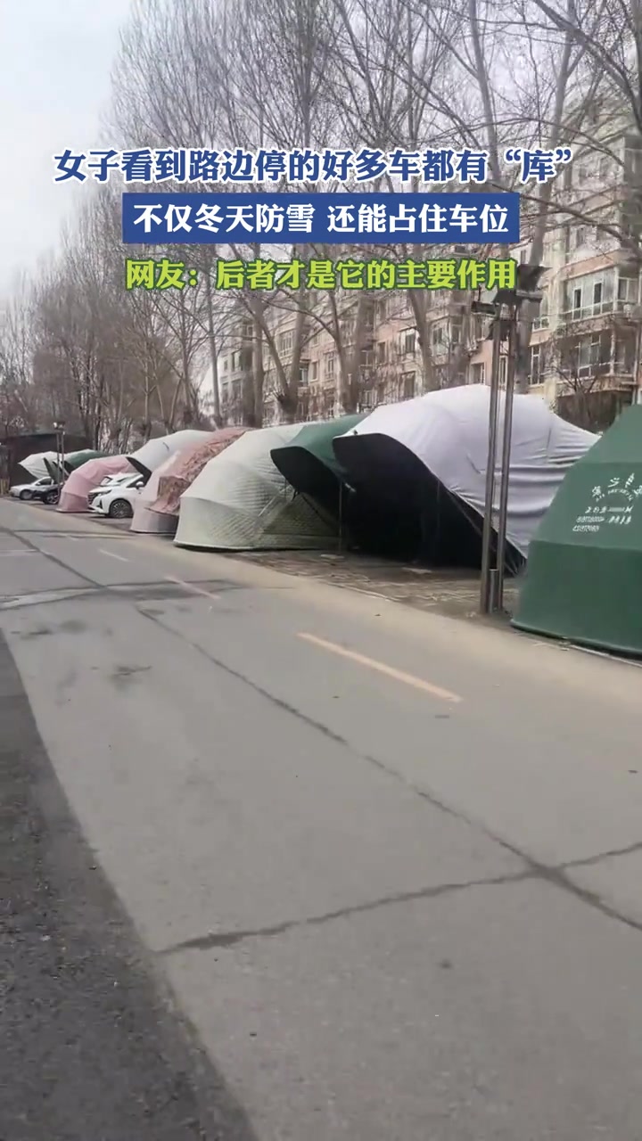 女子看到路边停的好多车都有“库”不仅冬天防雪还能占住车位