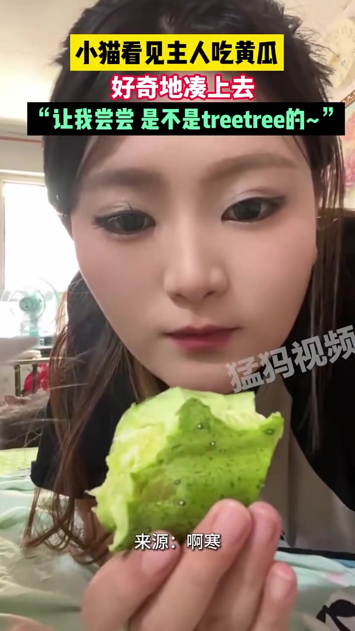 小猫看见主人吃黄瓜，好奇地凑上去，让我尝尝，是不是treetree的