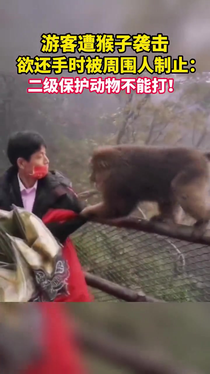 游客遭遇猴子攻击，正欲反击却被旁人阻止