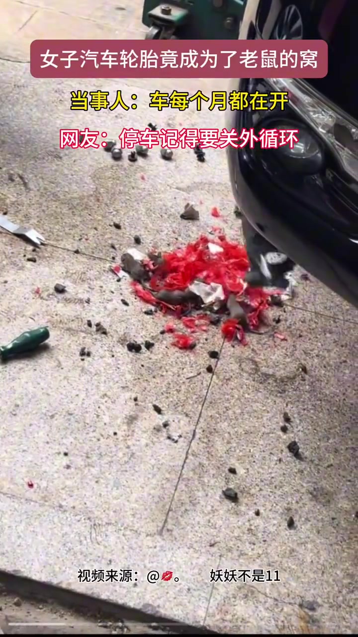 老鼠在车上安家了