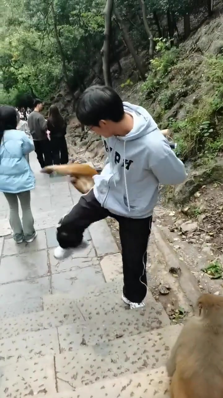 这一脚猴子突然就震惊了