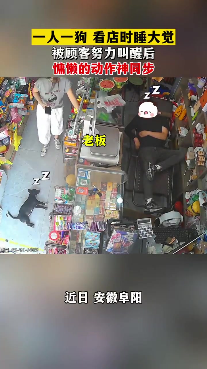 一人一犬，看铺时酣睡，被客人费力唤醒后，懒散的动作竟神奇同步