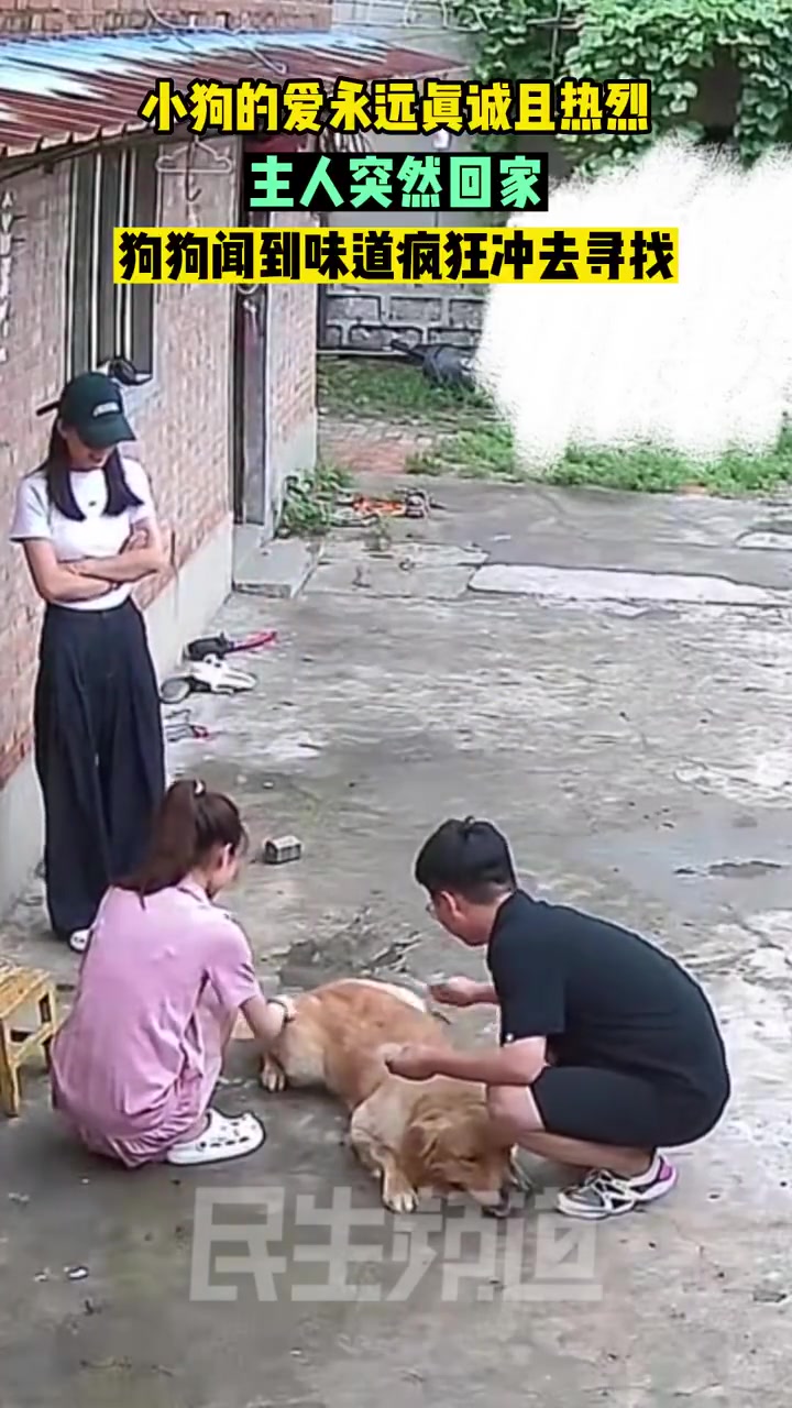 小狗的爱永远真诚且热烈！