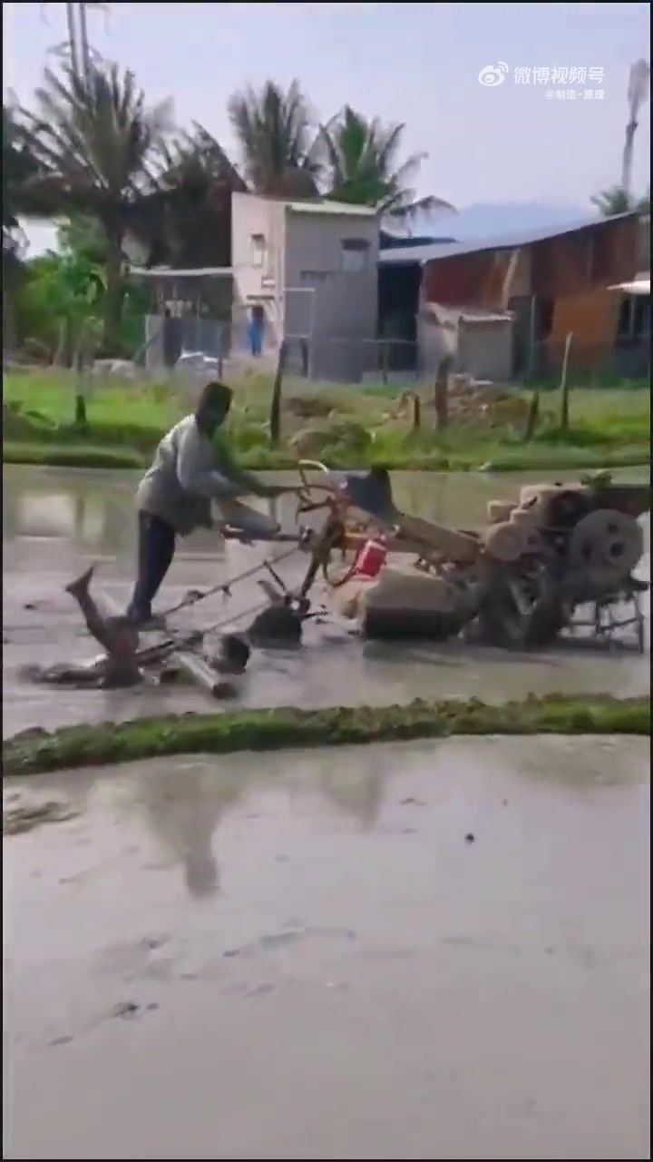 这田耕的，我以为孩子在帮忙呢