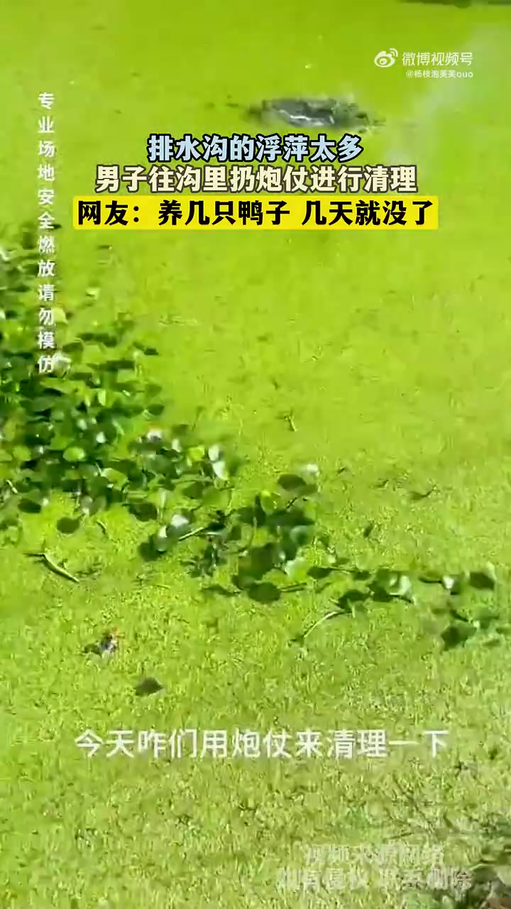 排水沟的浮萍太多，男子往沟里扔炮仗进行清理