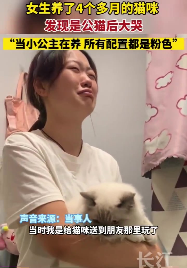 女生养了4个多月的猫咪发现是公猫后大哭