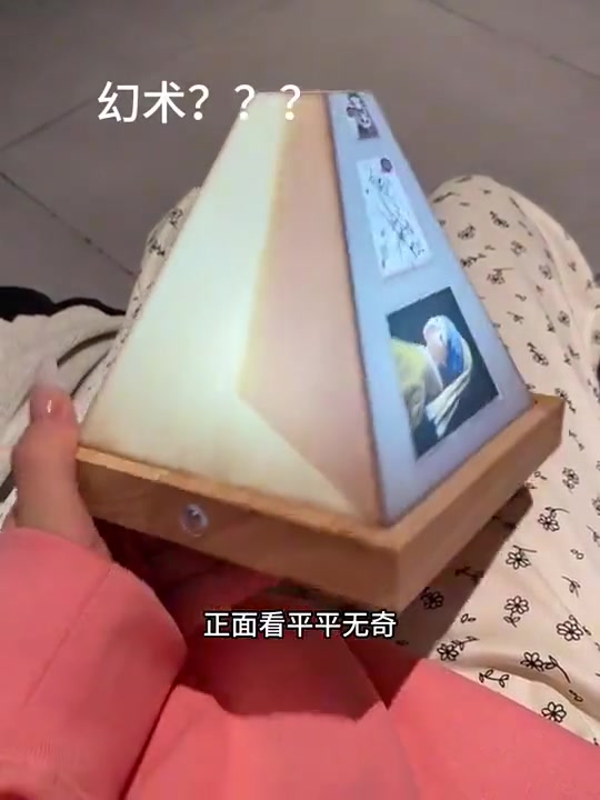 一开始没动时候，真的以为是个长条木头