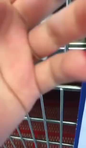 你是被猫猫选中的铲屎官，快带走它吧