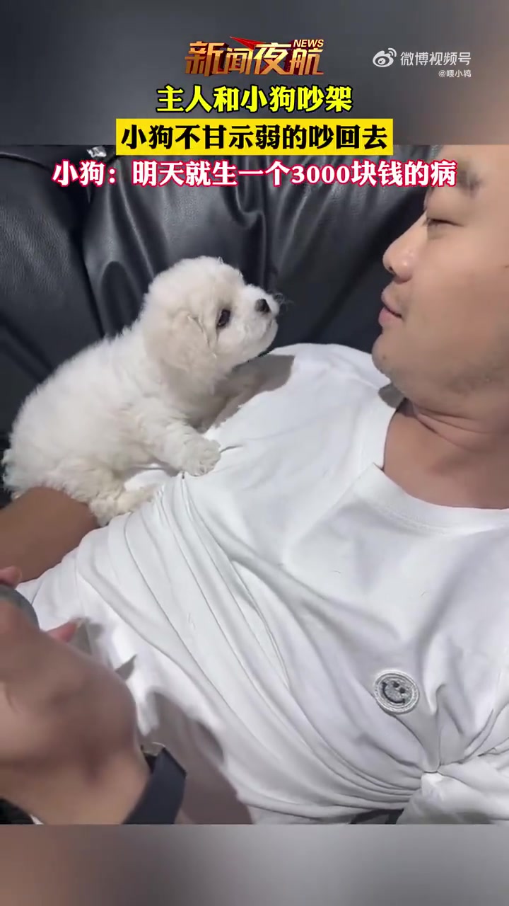 主人和小狗吵架，小狗不甘示弱的吵回去