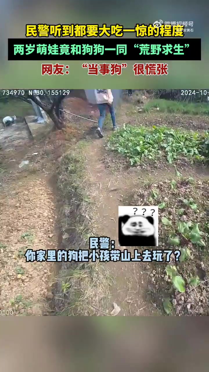 2岁萌娃携狗进山荒野求生，民警及时找到结束“探险旅程”