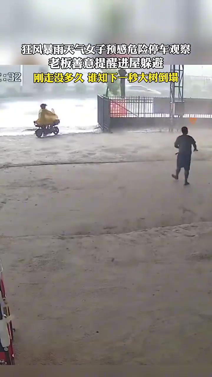 狂风暴雨天气女子预感危险停车观察，刚走没多久下一秒大树倒塌