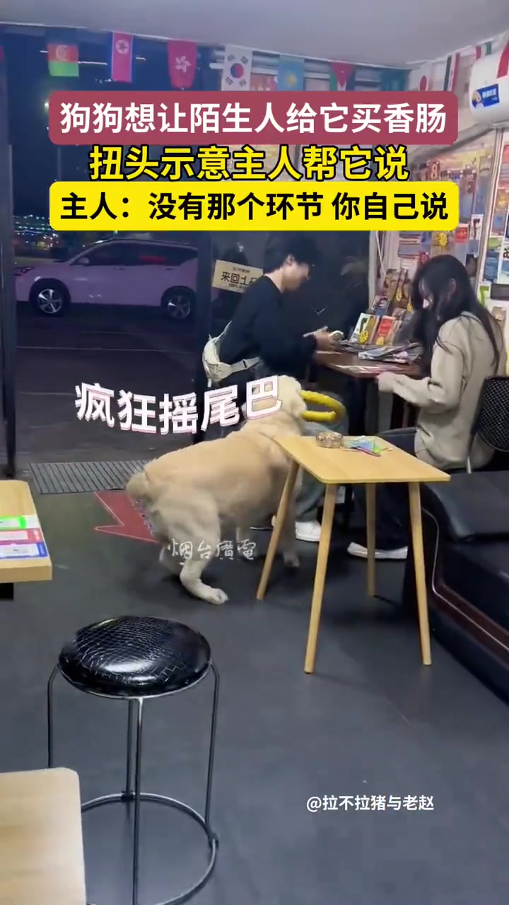 聪明狗狗示意主人，帮他和陌生人说给它买香肠！