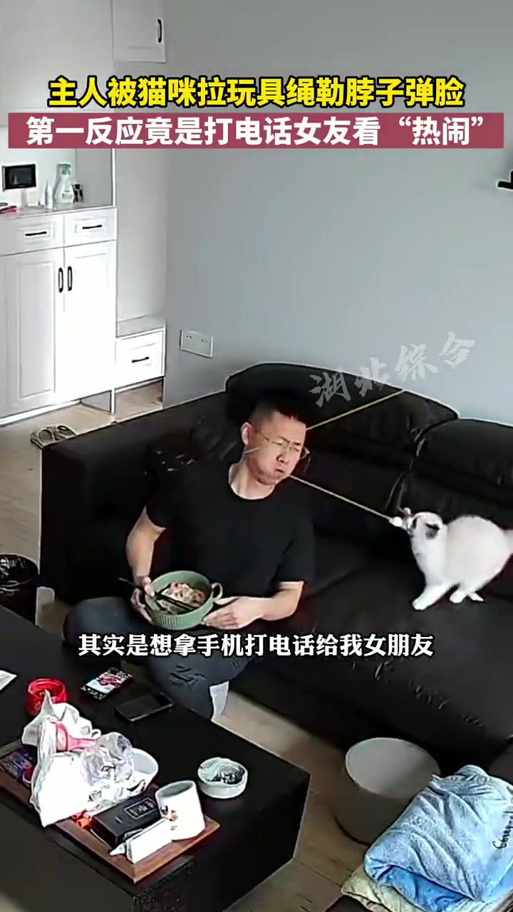 男子吃饭被猫咪拉玩具绳勒脖子弹脸，第一反应竟是打电话找女友看