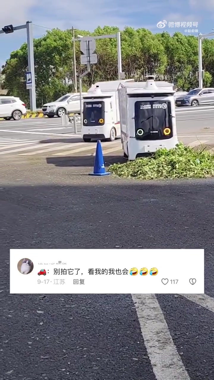 以为来的同事是个聪明的，结果一个卧龙一个凤雏
