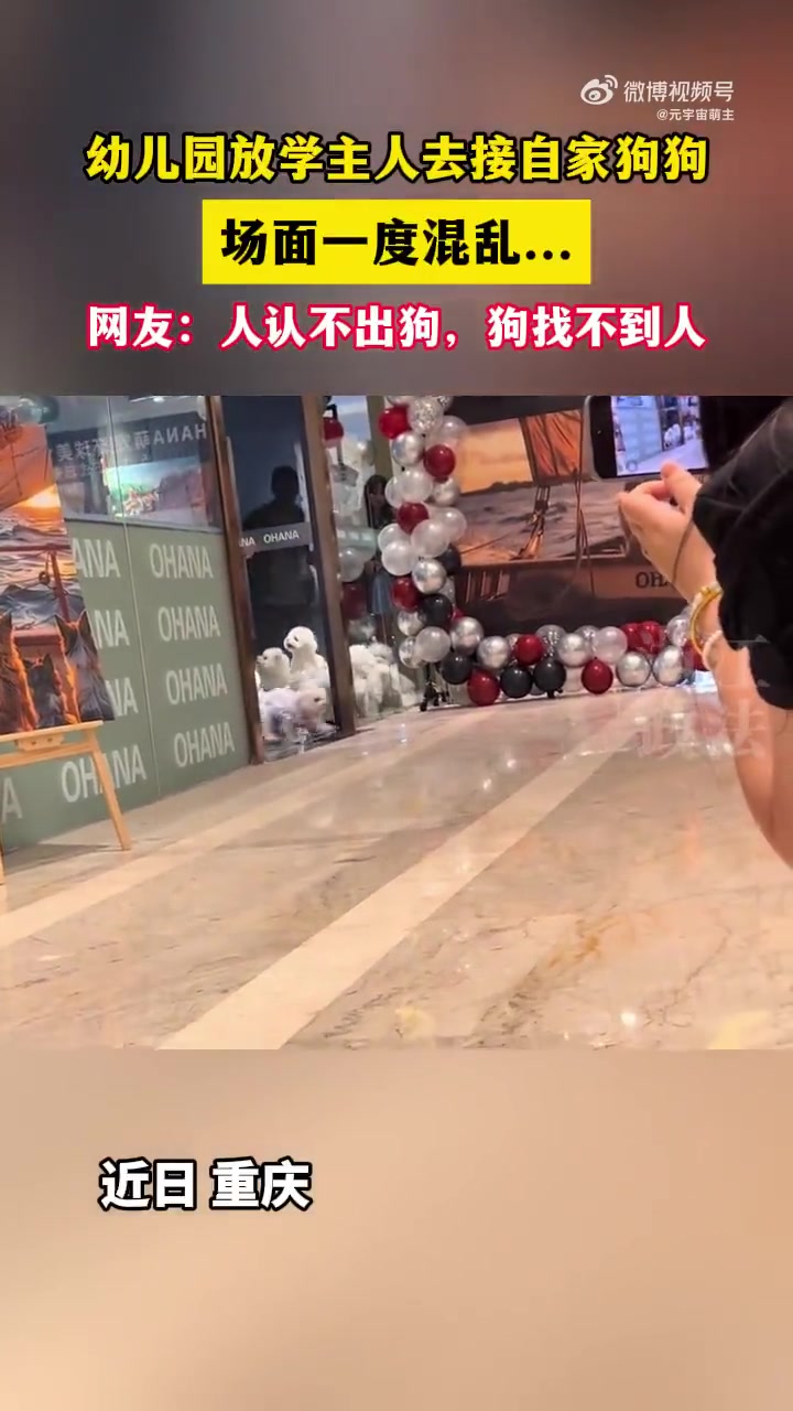 幼儿园放学，主人去接自家狗狗，现场一片混乱