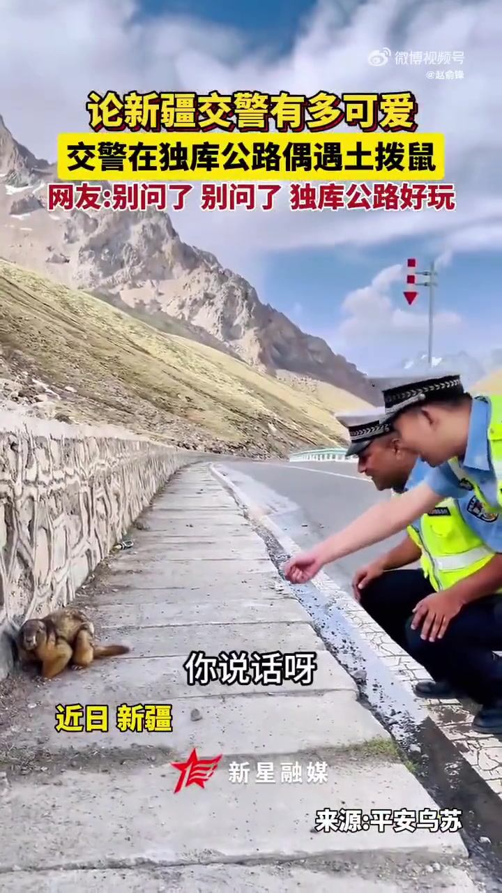 遇到土拨鼠的交警叔叔真有趣