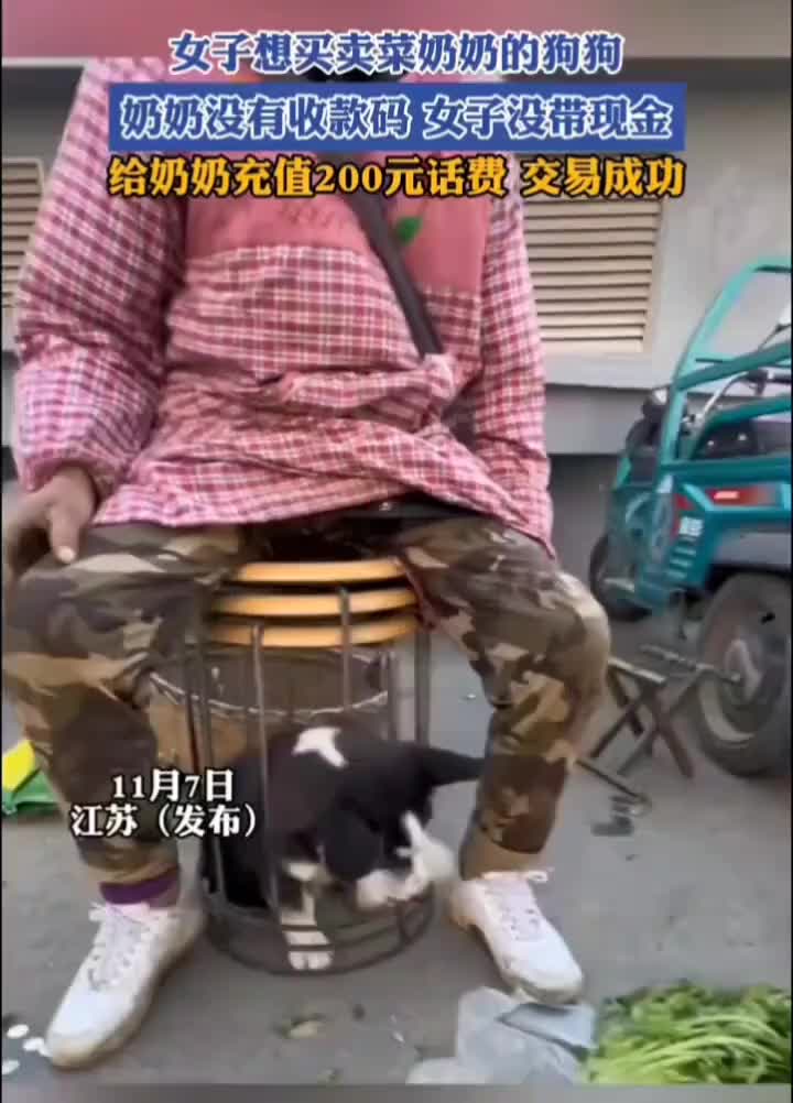 这次是真的充话费送小狗了啊！