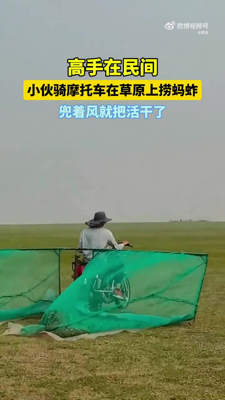 小伙骑摩托车在草原上捞蚂蚱，兜着风就把活干了！