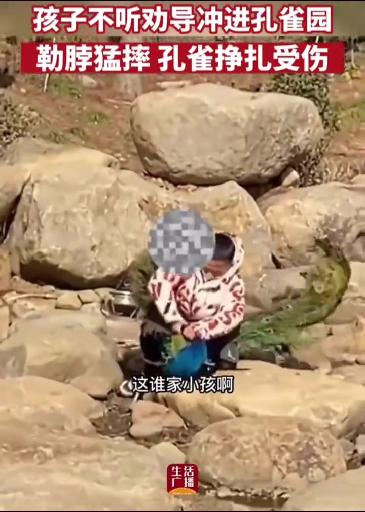 为什么有些小孩没同情心