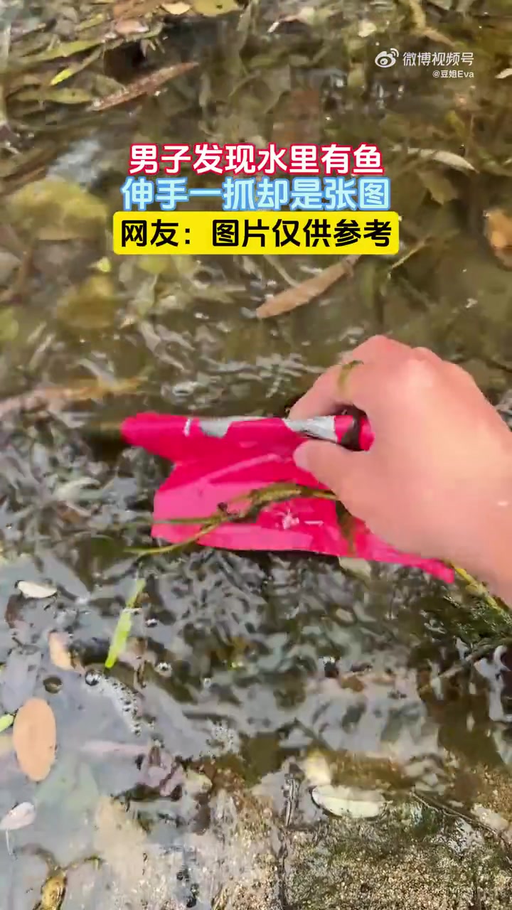 你看到的不一定是真实的