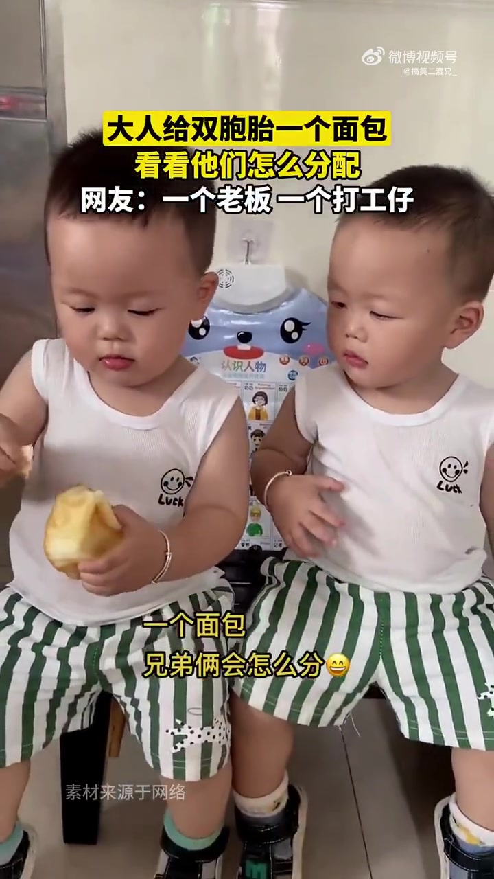 双胞胎分面包