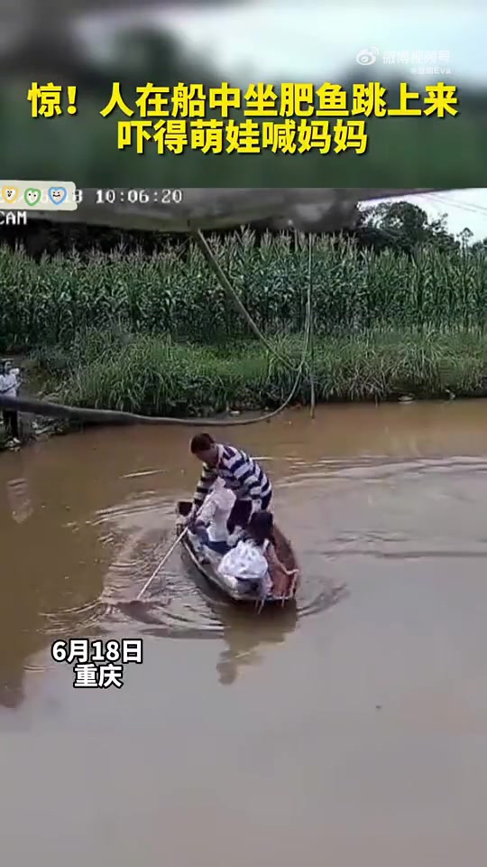 人在船中坐，肥鱼跳上来！！