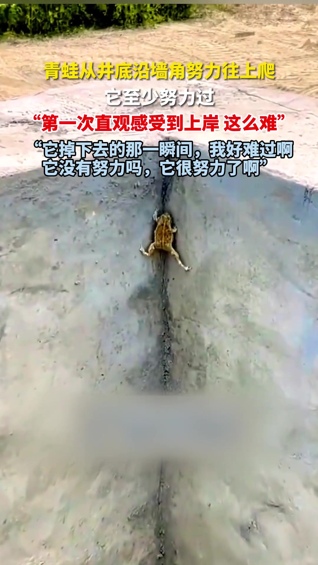 青蛙从井底沿墙角努力往上爬