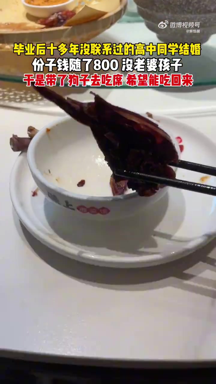 狗子回去觉得狗粮不太香了