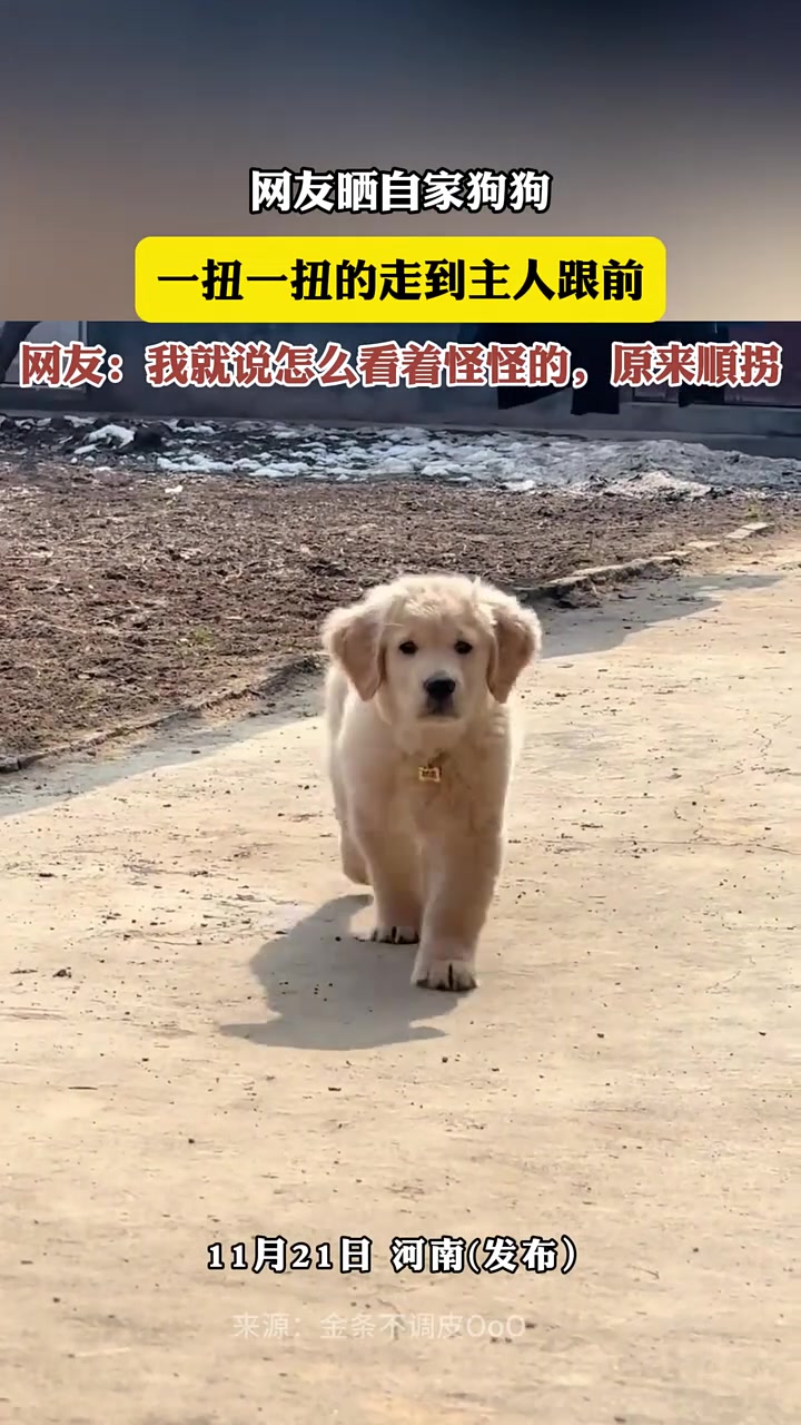 网友：我就说怎么看着怪怪的，原来顺拐！