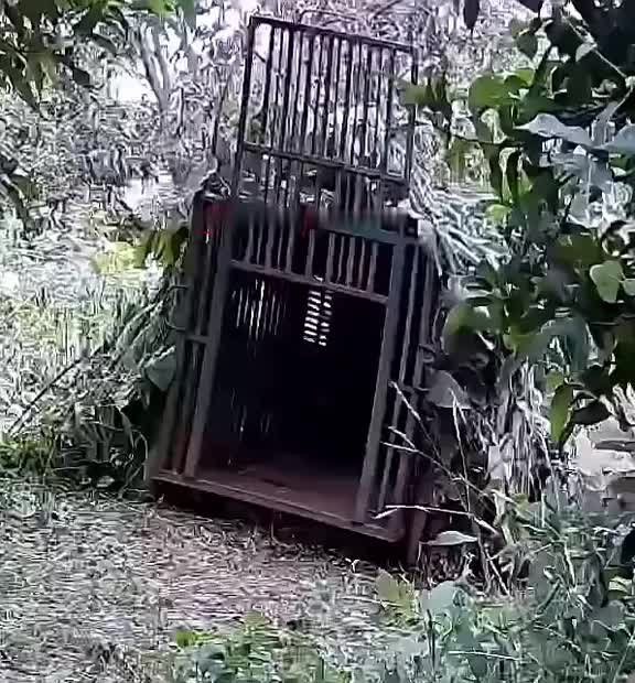 这次是抓到一个狠货了啊！
